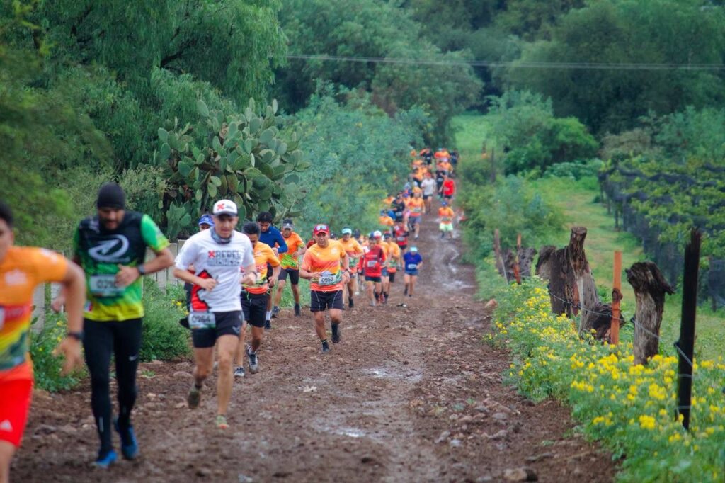 Se preparan mil 200 deportistas rumbo al Querétaro Maratón